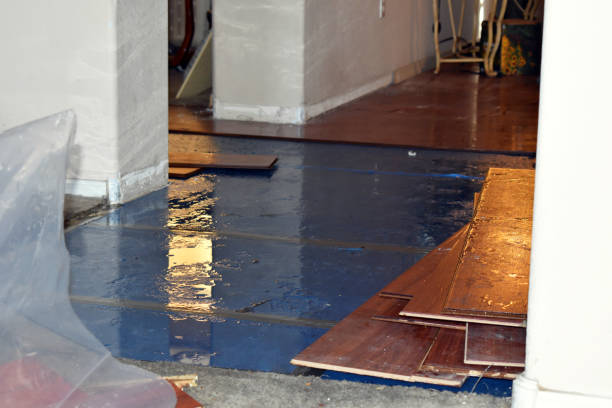Professional Burst Pipe Cleanup technician working in Creighton, MO