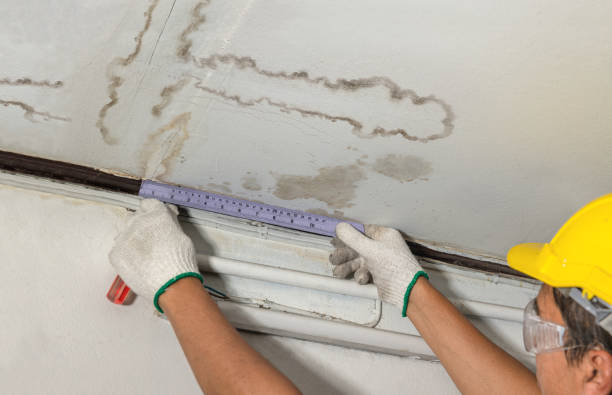 Reliable Burst Pipe Cleanup contractor in Creighton, MO by Water Damage Irwin